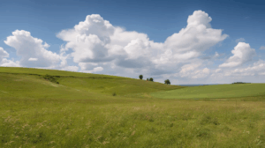 Thermal (Convective) Turbulence